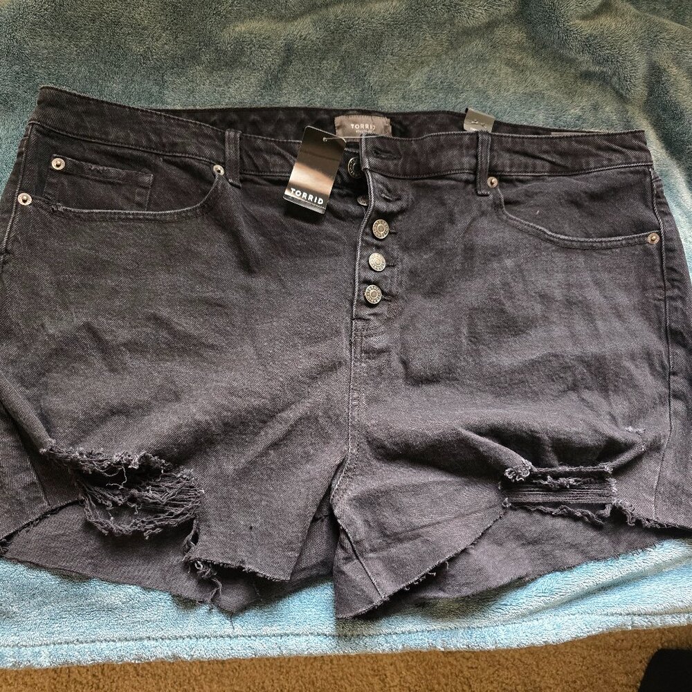 Torrid shorts